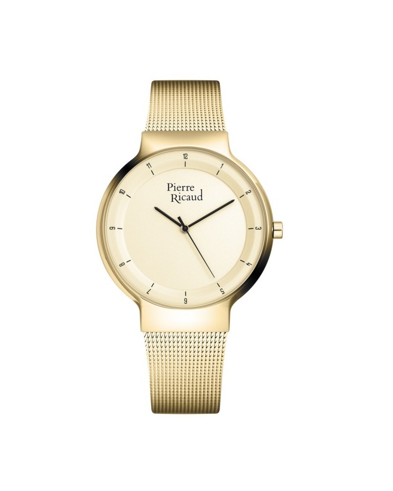 Pánské hodinky Pierre Ricaud P91077.1111Q/T