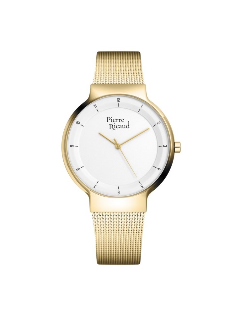 Pánské hodinky Pierre Ricaud P91077.1113Q/T