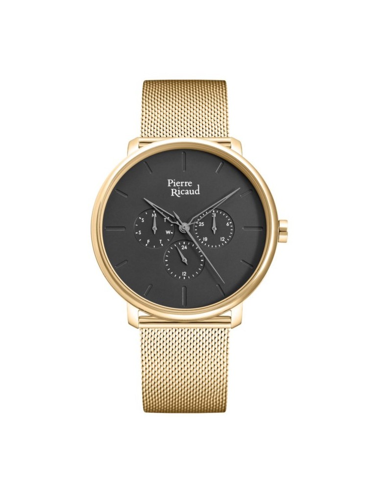 Pánské hodinky Pierre Ricaud P97169.1116QF